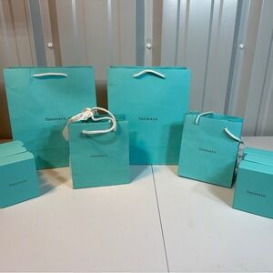 Tiffany & Co. Turquoise Shopping Bags Collection